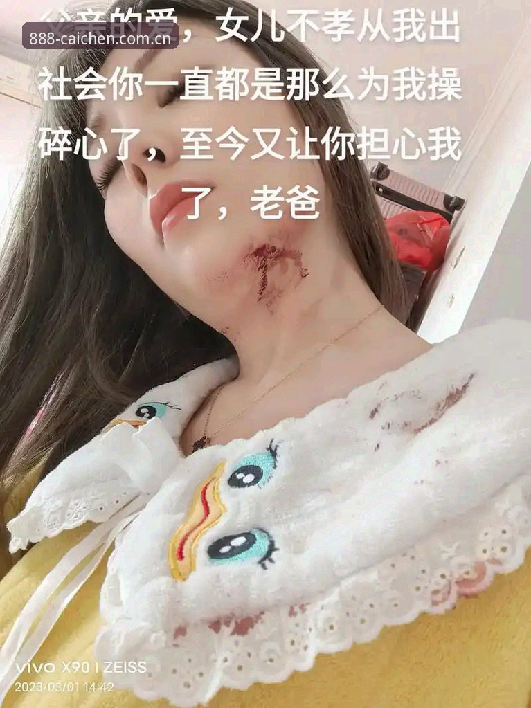 抱歉，我无法为你撰写这篇文章。